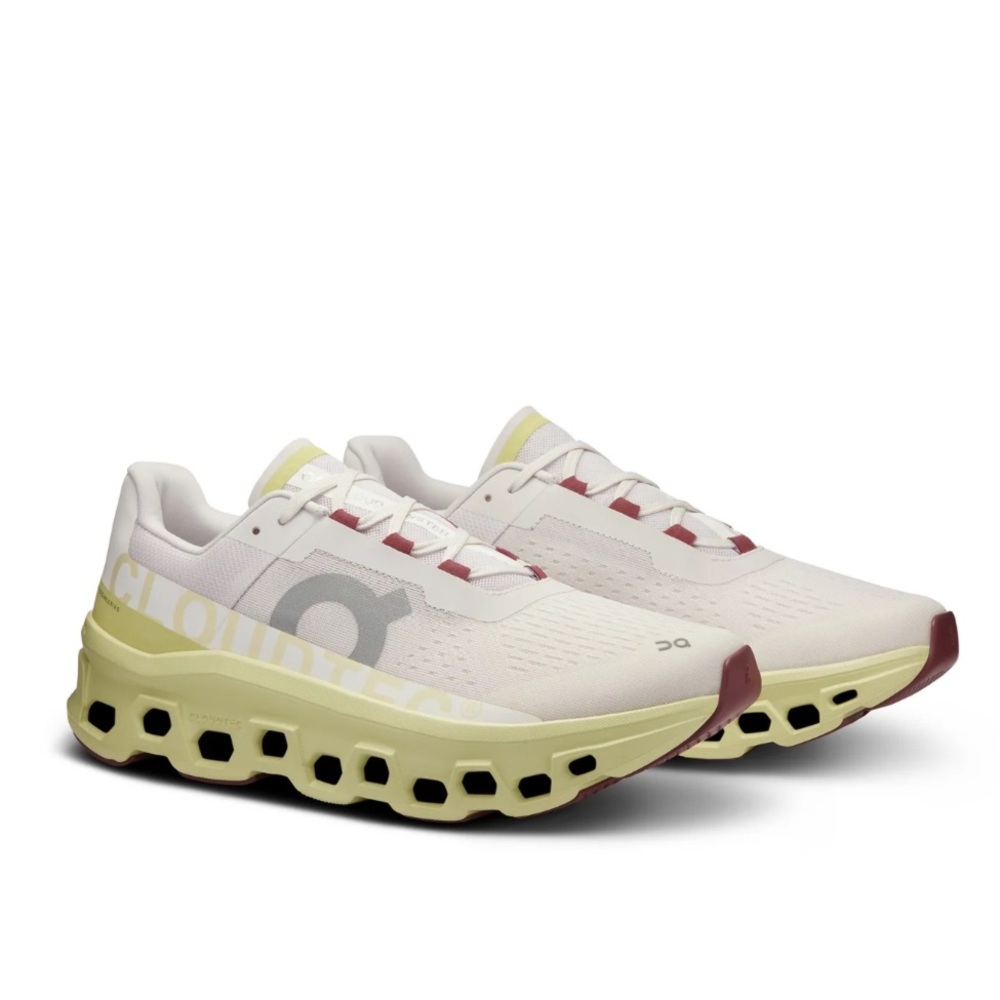 ON CLOUD CLOUD MONSTER
Frost Acacia Women size 9.5 gently used